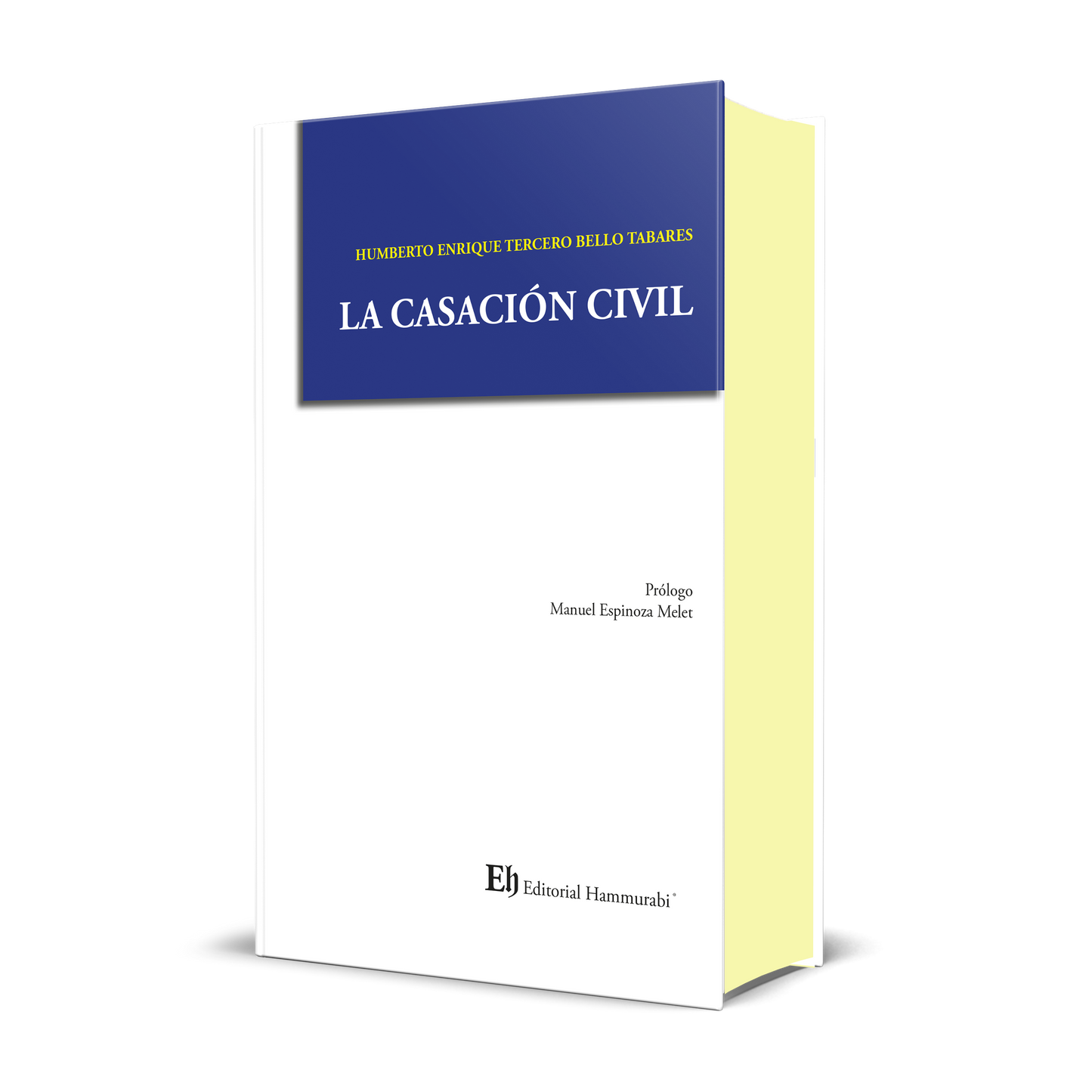 La casación civil
