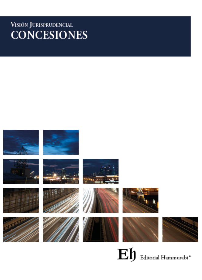 Visión jurisprudencial. Concesiones