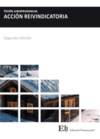 Visión jurisprudencial de la acción de reinvidicatoria. 2da edición