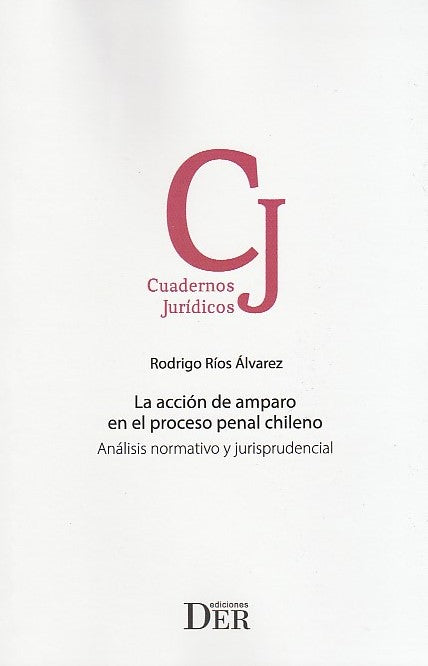 La acción de amparo en el proceso penal chileno