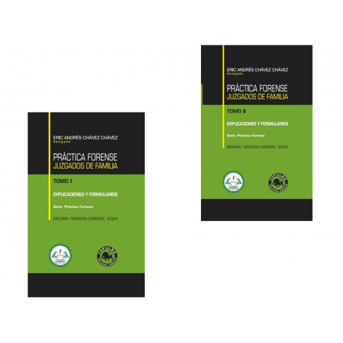 Práctica Forense Juzgados de Familia. Explicaciones y Formularios. Tomos I y II. Decimotercera Edición. 2024