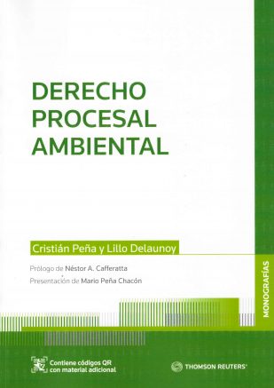 Derecho procesal ambiental