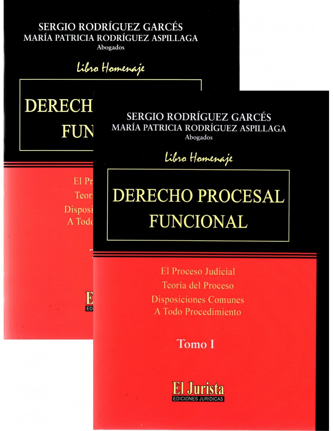 Derecho procesal funcional. Tomos I y II