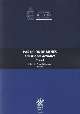 Partición de bienes. Cuestiones actuales. Tomo I