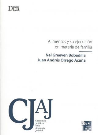 Alimentos y su ejecución en materia de familia