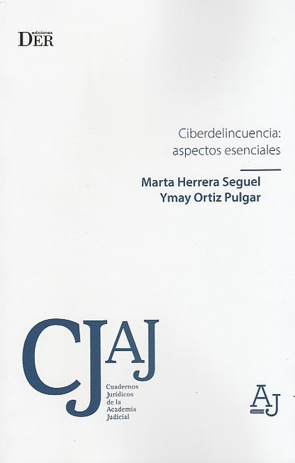 Ciberdelincuencia. Aspectos esenciales