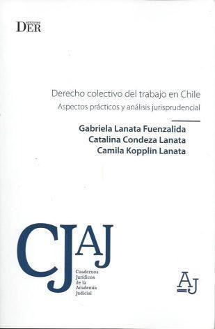 Derecho Colectivo del Trabajo en Chile, Aspectos prácticos y análisis jurisprudencial
