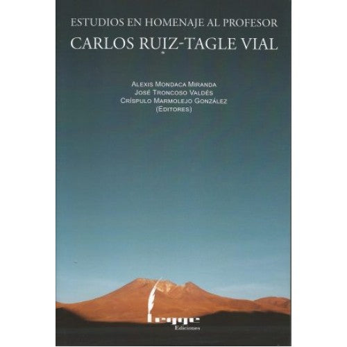 Estudio en homenaje al profesor Carlos Ruiz-Tagle Vial