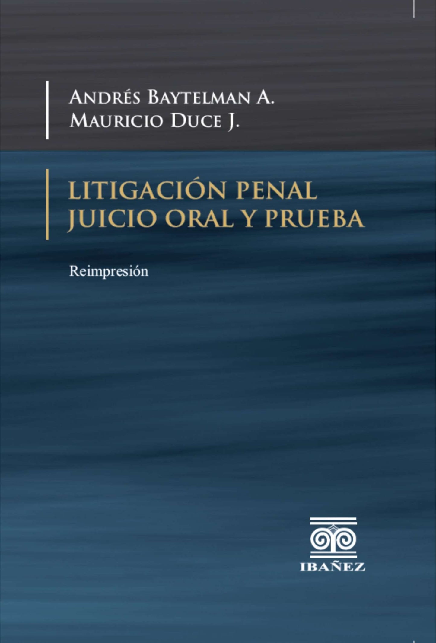 Litigación penal. Juicio oral y prueba. Reimpresión