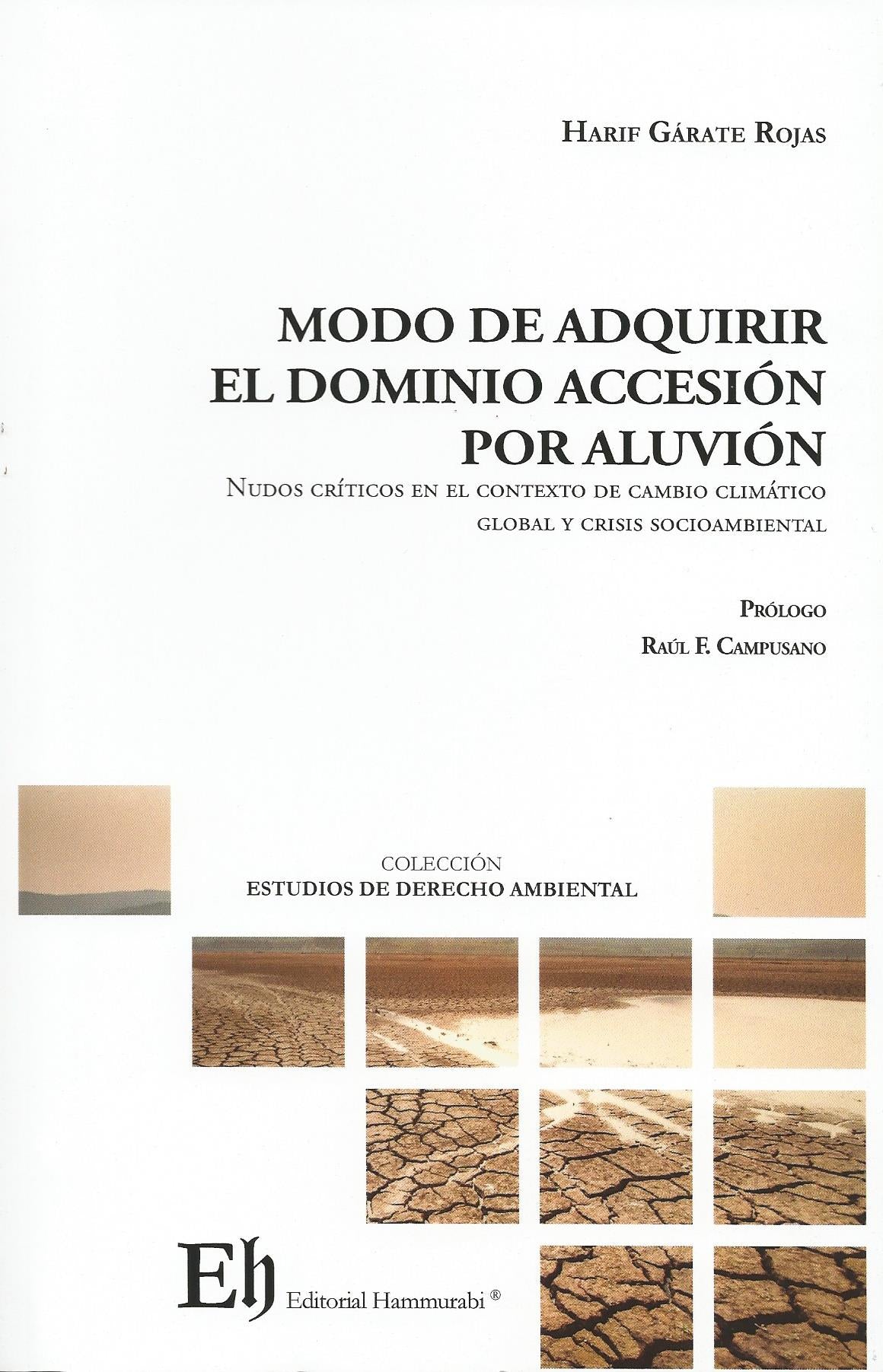 Modo de adquirir el dominio accesión por aluvión. Nudos críticos en el contexto de cambio climático global y crisis sociambiental