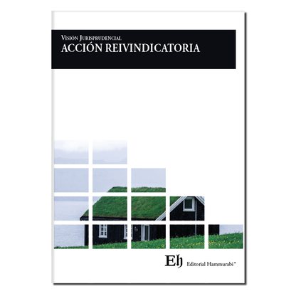 Visión jurisprudencial de la acción de reinvidicatoria