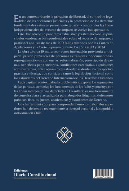 Tendencias jurisprudenciales. Recurso de amparo (2023-2024)