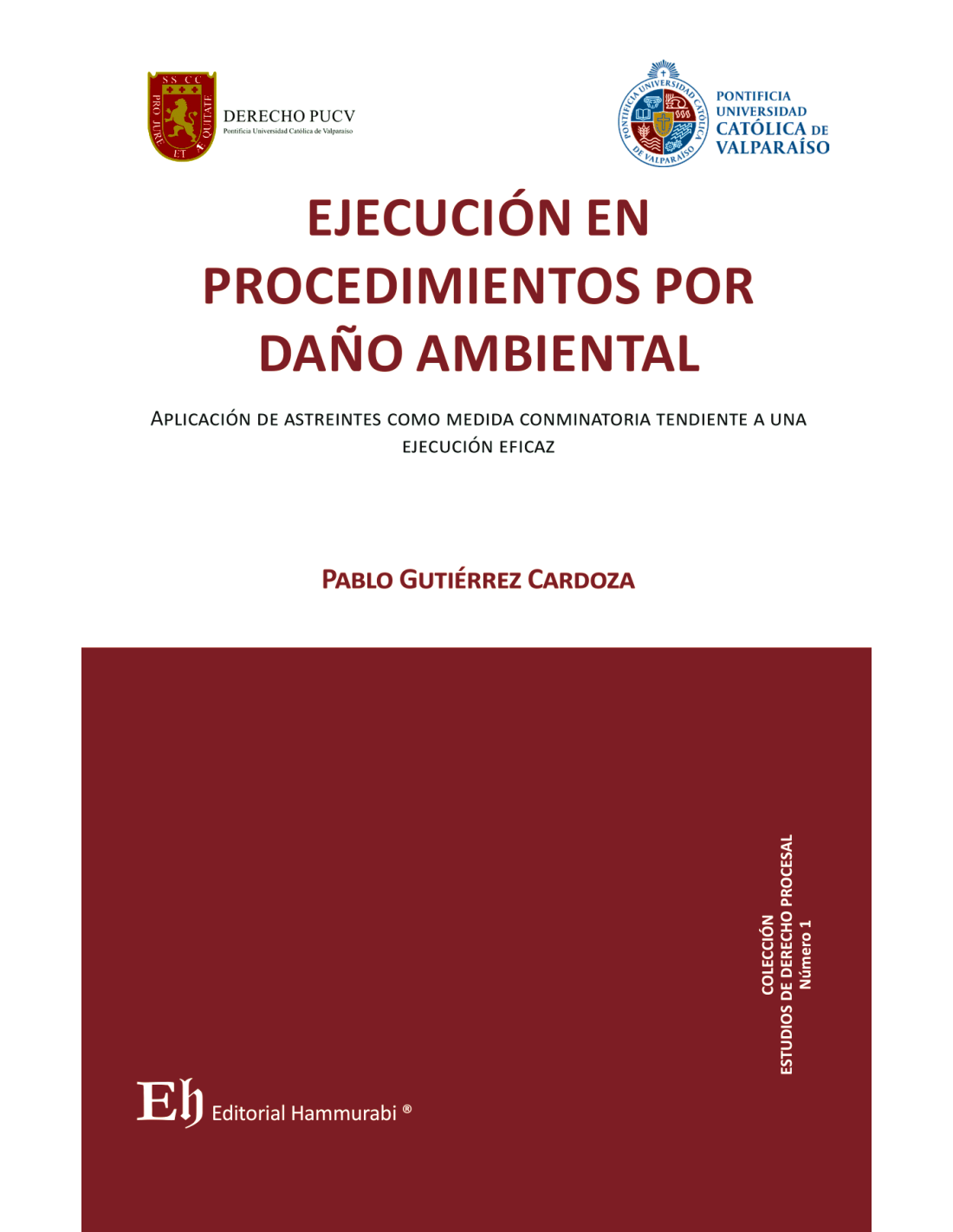 Ejecución en procedimientos por daño ambiental