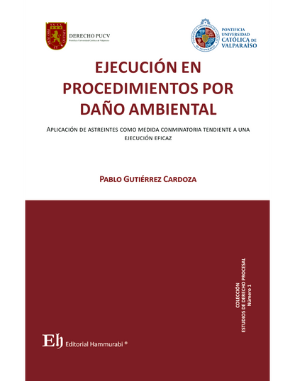 Ejecución en procedimientos por daño ambiental