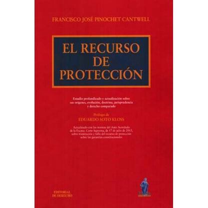 El Recurso de Protección. Primera Edición