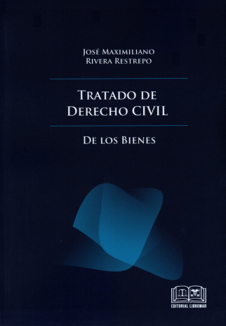 Tratado de derecho civil. De los bienes